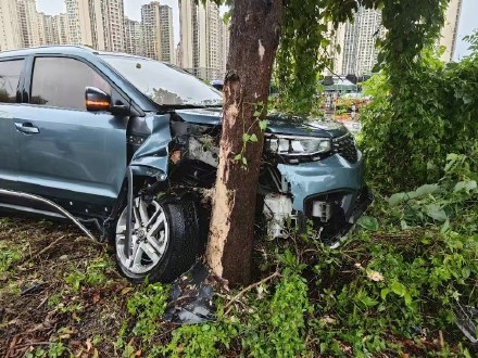 丈夫酒驾撞树后逃逸喊来妻子顶包