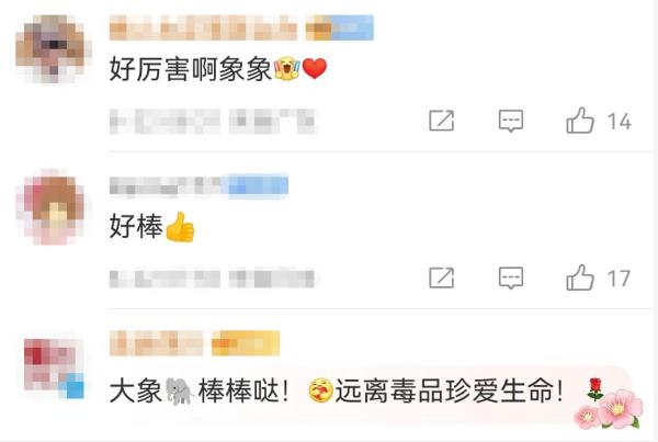 亚洲象一鼻甩出2.8公斤毒品!网友:大象可不是白溜达的 亚洲象一鼻甩出2.8公斤毒品!网友:大象可不是白溜达的