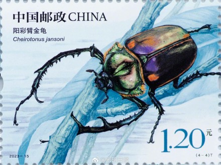 昆虫二特种邮票今日发行
