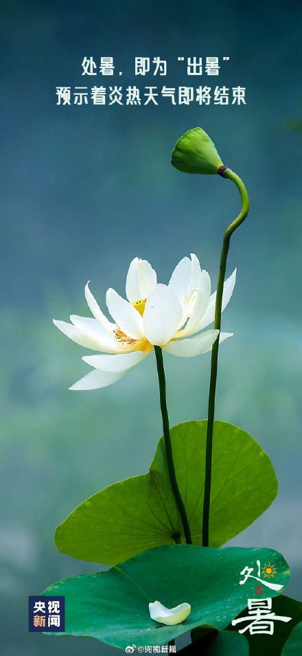 今日17时01分迎来处暑