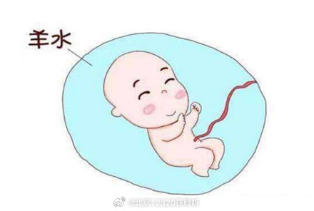 孕妈肚子里的羊水有什么作用? 孕妈肚子里的羊水有什么作用?