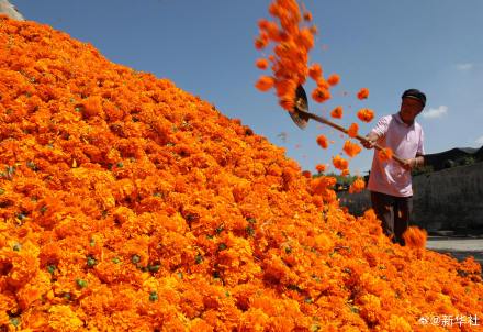 处暑民间有祭祖迎秋习俗