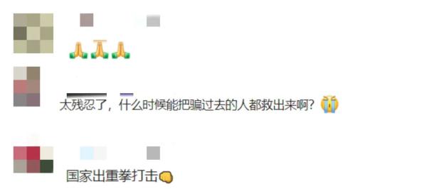 骨干头目被押解回国！中国驻缅甸大使馆最新披露！