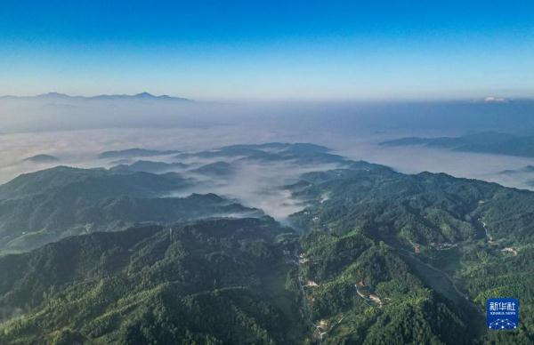 美丽中国丨云海盛景大别山