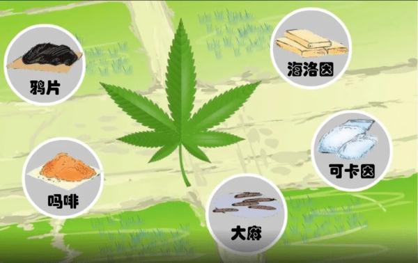 吸到断片？！安徽2名女子吸毒被抓，吸毒到忘记自己名字...