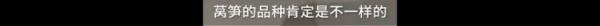 上海外滩一餐厅6片莴笋卖98元？工作人员：品种不一样