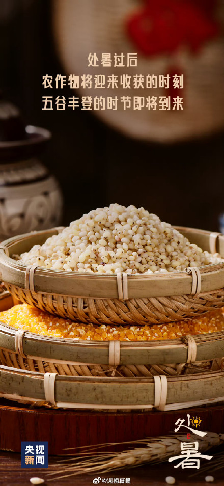 今日17时01分迎来处暑