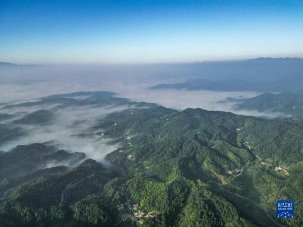 美丽中国丨云海盛景大别山