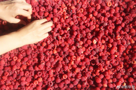 处暑民间有祭祖迎秋习俗