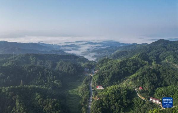 美丽中国丨云海盛景大别山