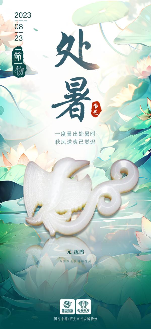 今日处暑，鹊鸟迎新秋