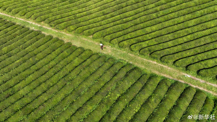 处暑民间有祭祖迎秋习俗
