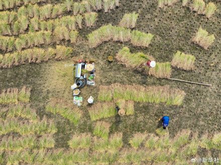 处暑民间有祭祖迎秋习俗