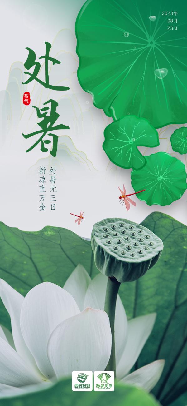 今日处暑，鹊鸟迎新秋