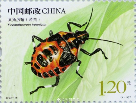 昆虫二特种邮票今日发行