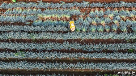 处暑民间有祭祖迎秋习俗