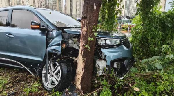 不要太“爱”了！男子酒驾撞树后竟让妻子“顶包”，结果…