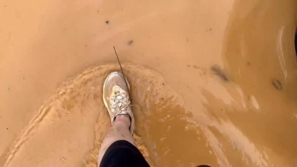 女子缅北“工作”2年，回国后竟干起……警方出手