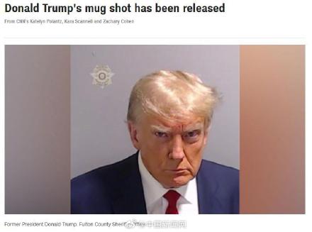 特朗普嫌犯大头照被公布 特朗普嫌犯大头照被公布