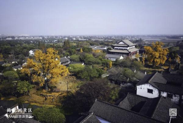 杭州户籍，免费！