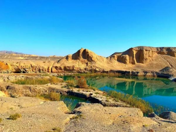 杭州户籍，免费！