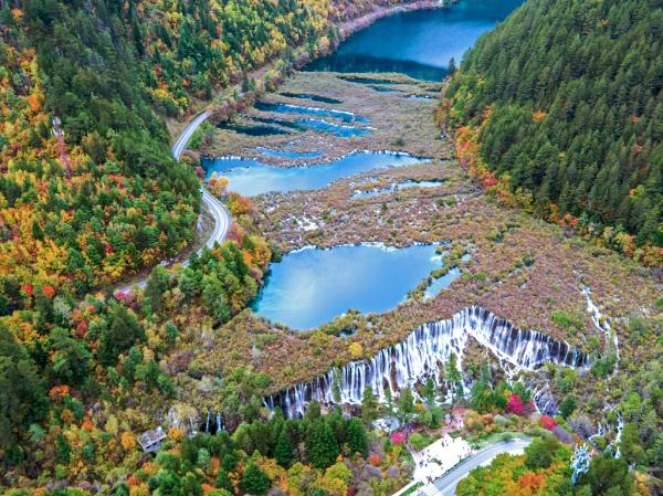 杭州户籍，免费！