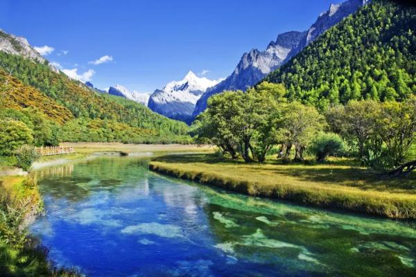 杭州户籍，免费！