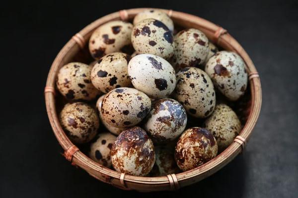 鸡蛋、鸭蛋、鹌鹑蛋...营养最高的竟是它! 鸡蛋、鸭蛋、鹌鹑蛋...营养最高的竟是它!