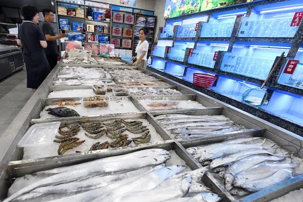实探上海唯一国家一级渔港：海鲜供货本地商超市场 | 台风或使核污水向东传