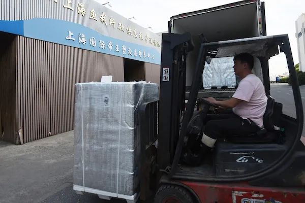 实探上海唯一国家一级渔港：海鲜供货本地商超市场 | 台风或使核污水向东传