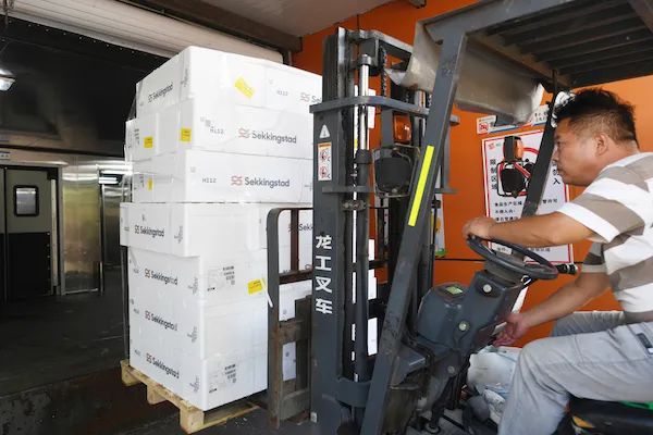 实探上海唯一国家一级渔港：海鲜供货本地商超市场 | 台风或使核污水向东传