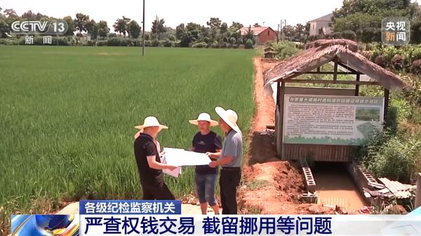 暗箱操作、权钱交易……一批乡村振兴领域违法典型案例公开