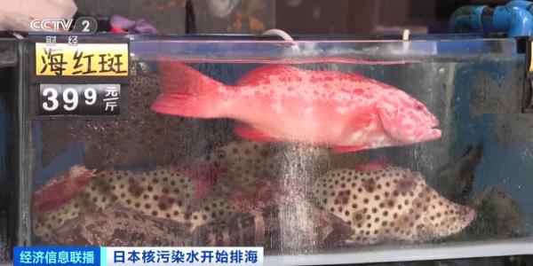 问题来了:日料还能吃吗? 问题来了:日料还能吃吗?