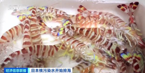 问题来了:日料还能吃吗? 问题来了:日料还能吃吗?