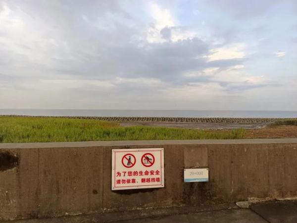 上海一海边防浪石惊现血印？真相搞清楚了