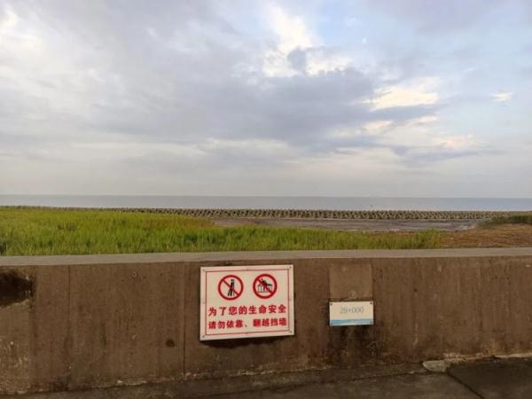 上海奉贤海边防浪石现血印?真相原来是…… 上海奉贤海边防浪石现血印?真相原来是……