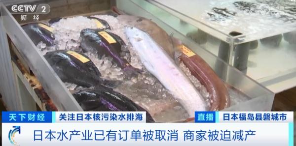 跌跌跌！价格暴跌！