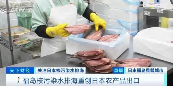 日本公布最新“检测结果”，样本是两条鱼！日企心态崩了：怎么自己人也这样？