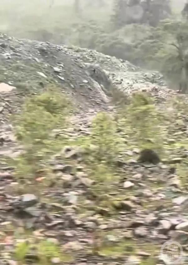 多位游客四姑娘山突遇泥石流：离车流仅数米，景区已进行处置