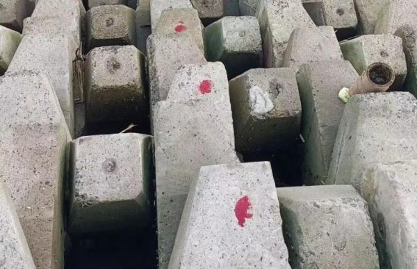 上海奉贤海边防浪石现血印?真相原来是…… 上海奉贤海边防浪石现血印?真相原来是……