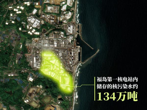 日本公布最新“检测结果”，样本是两条鱼！日企心态崩了：怎么自己人也这样？