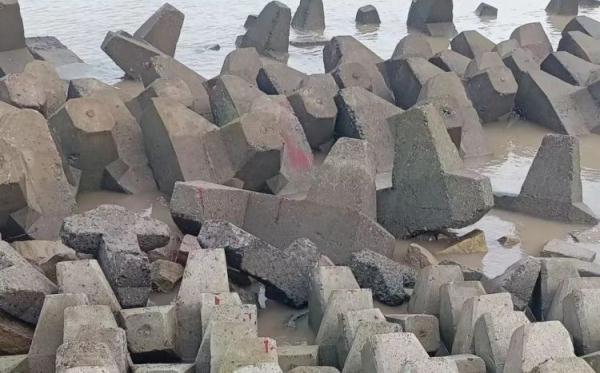 上海奉贤海边防浪石现血印?真相原来是…… 上海奉贤海边防浪石现血印?真相原来是……