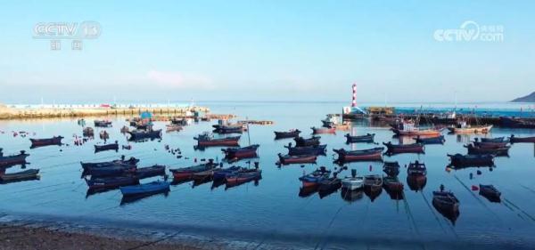 沿海各地因地制宜推动美丽海湾建设 283个海湾生态环境得到改善 沿海各地因地制宜推动美丽海湾建设 283个海湾生态环境得到改善