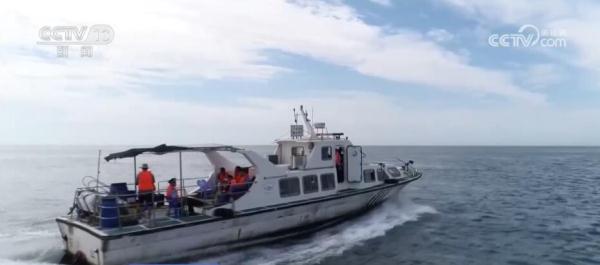 沿海各地因地制宜推动美丽海湾建设 283个海湾生态环境得到改善 沿海各地因地制宜推动美丽海湾建设 283个海湾生态环境得到改善