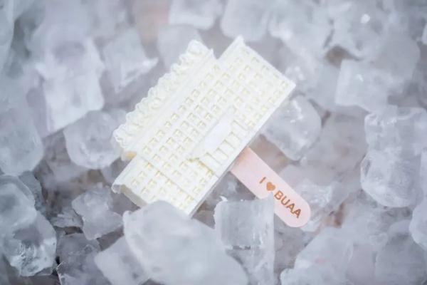 能吃的校徽？！“我是大学生，给我尝尝！”