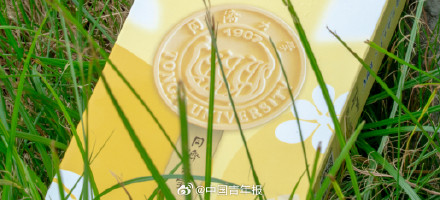 同济大学上新可以吃的校徽