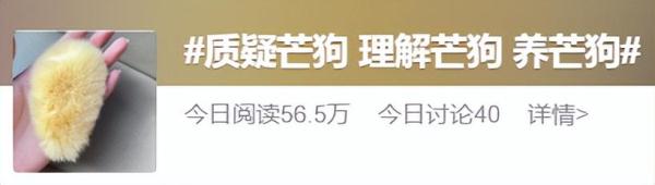 当代年轻人已经开始养“芒狗”了？