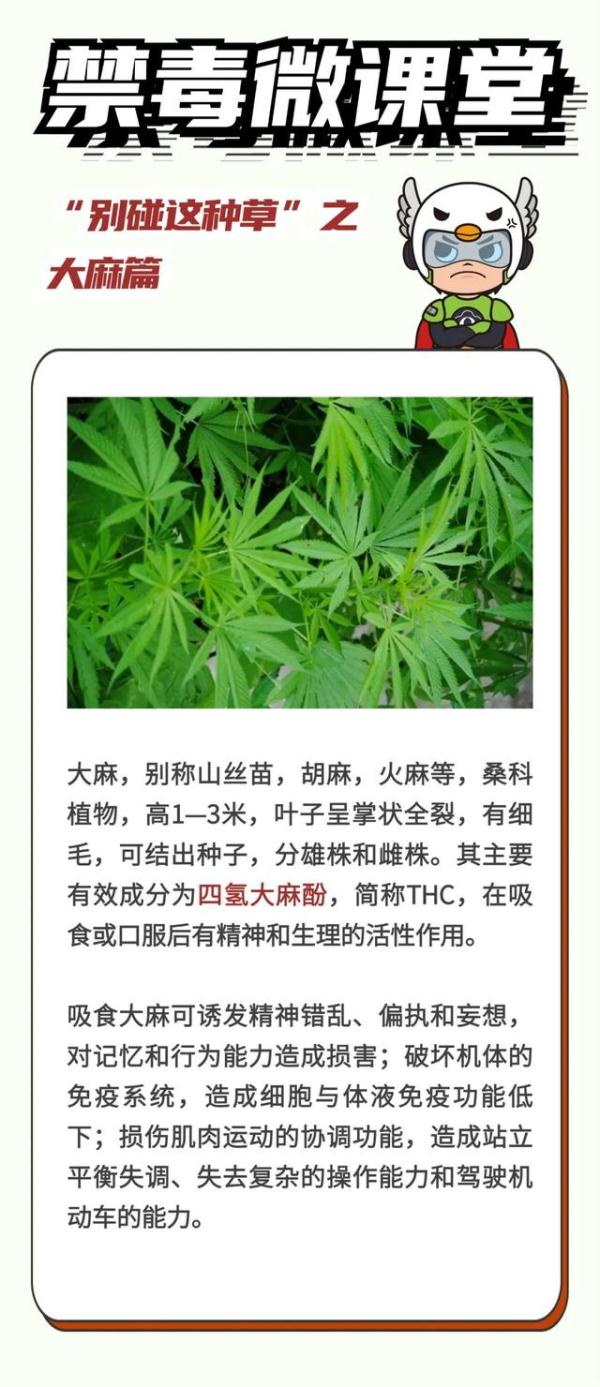 17岁少女炫耀“吸毒不会死”,却害得男友惨死...... 17岁少女炫耀“吸毒不会死”,却害得男友惨死......