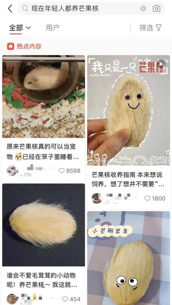 当代年轻人已经开始养“芒狗”了？