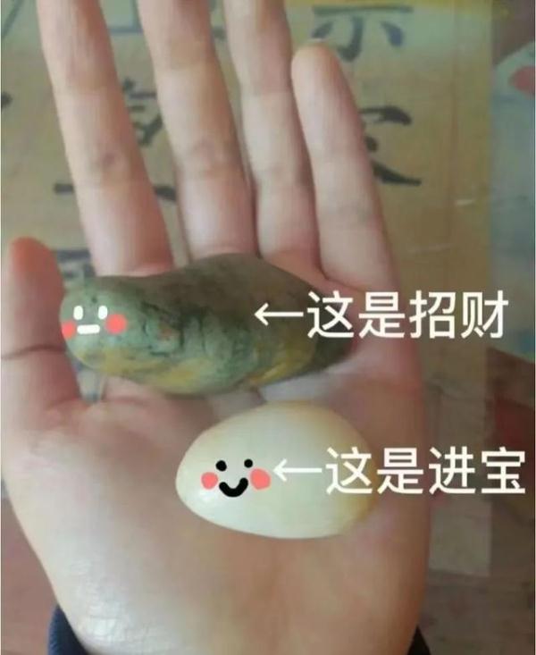 当代年轻人已经开始养“芒狗”了？